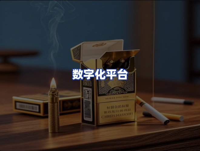 专业团队